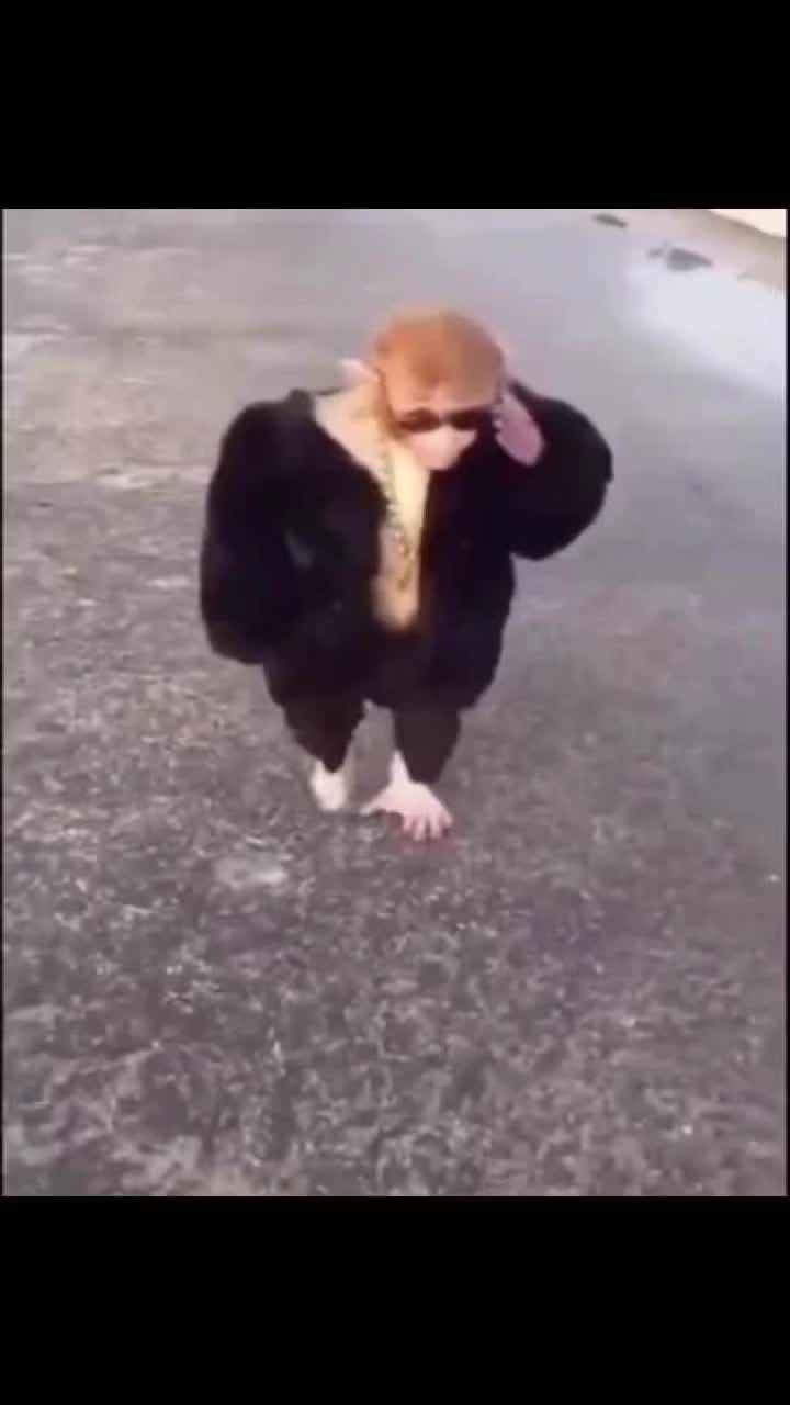 @what000123020