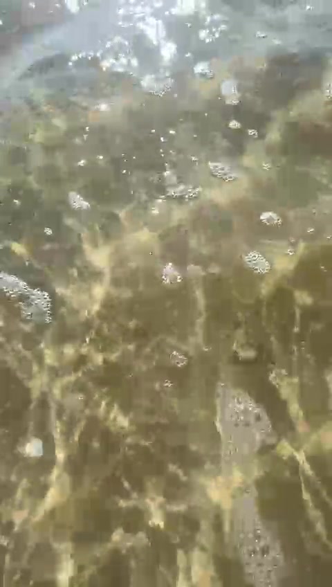 @Алсу