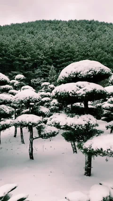 @Dulashi