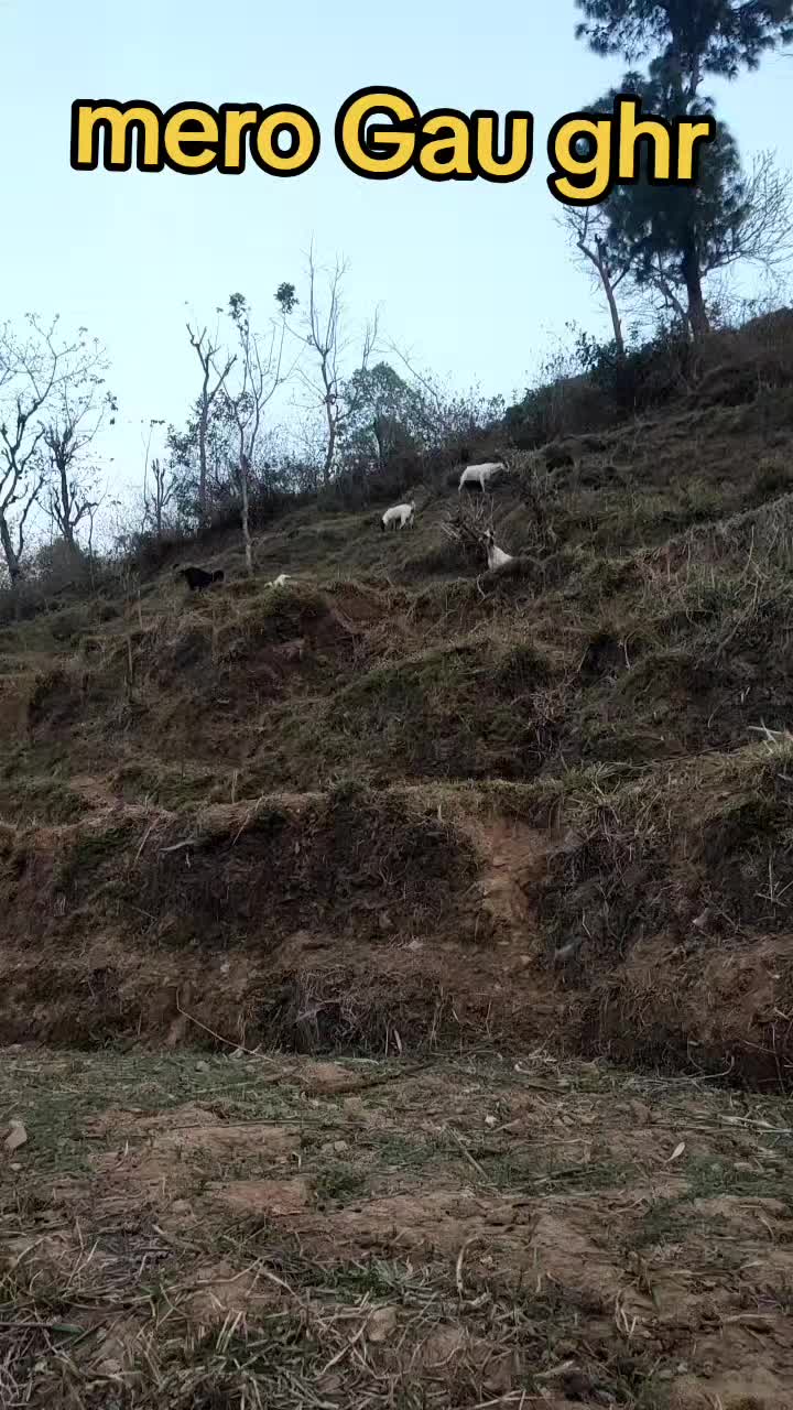 @Säkāš& ŘĆ