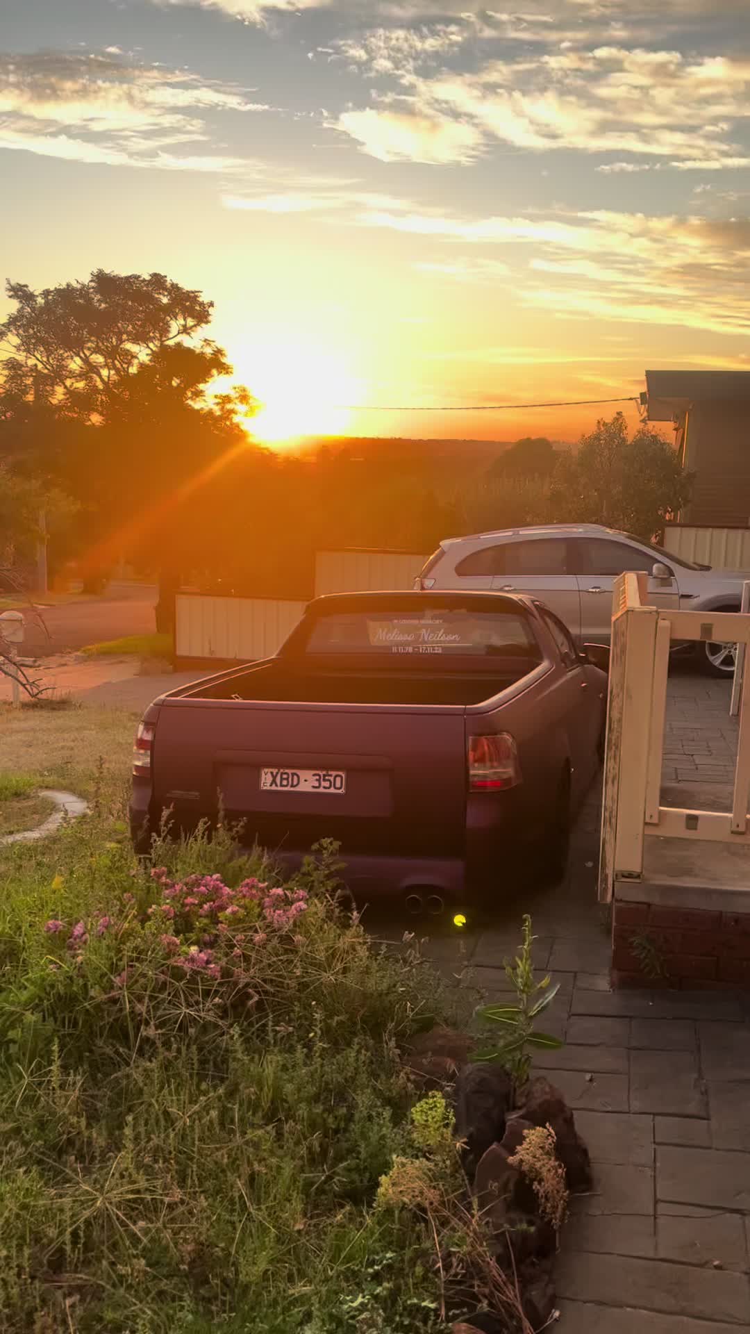 @Bagged.ve