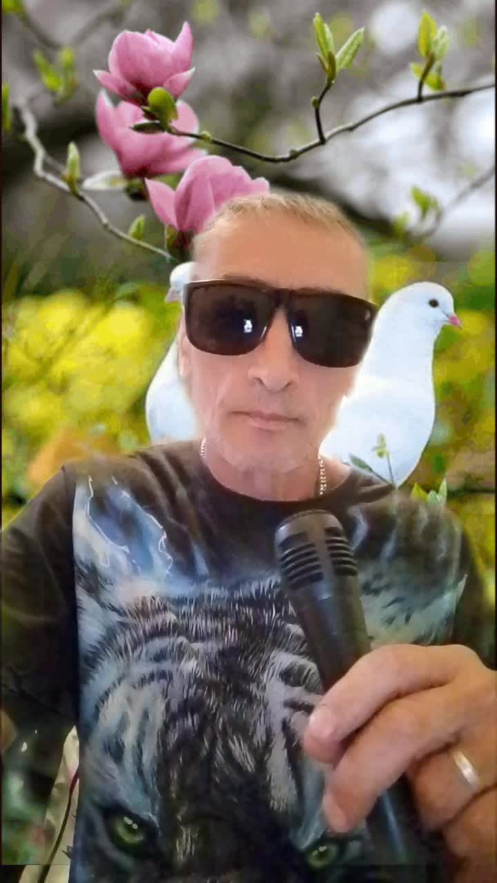 @evgenij