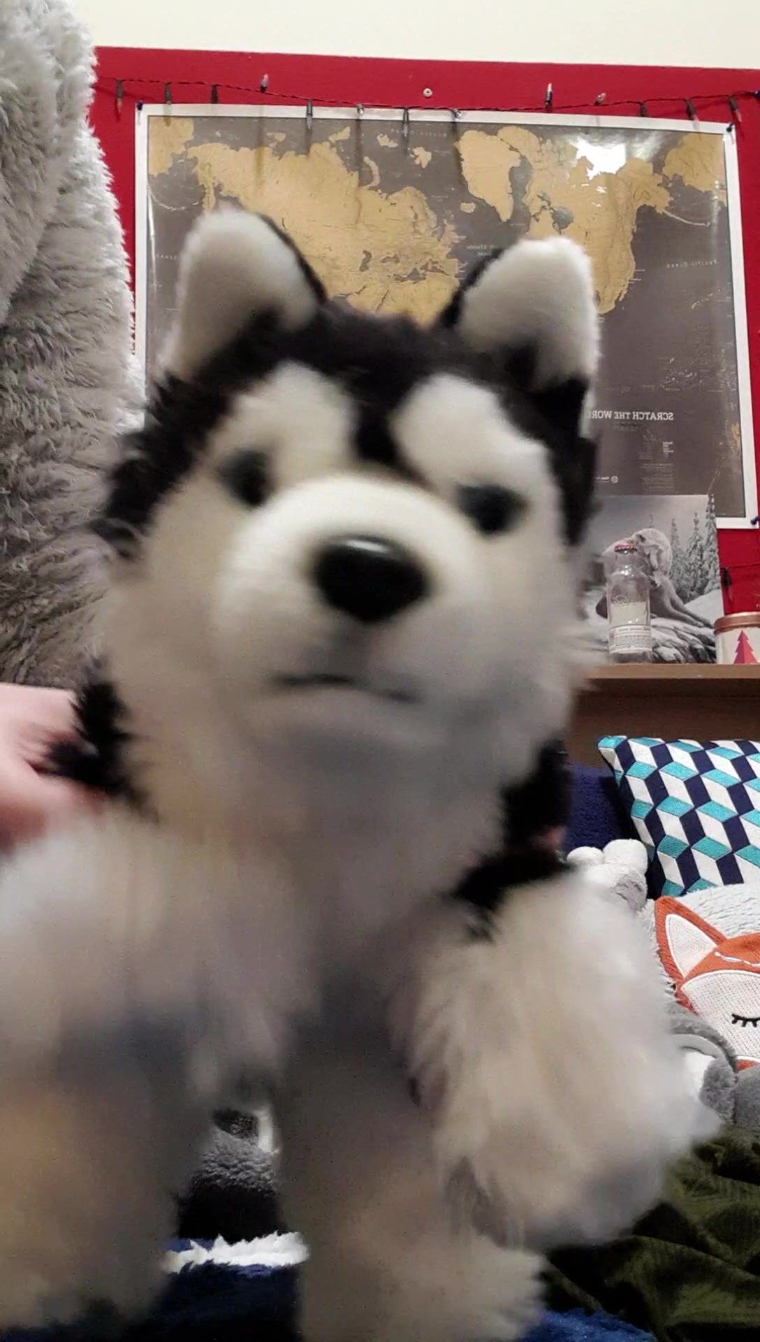 @Wolfy Ted