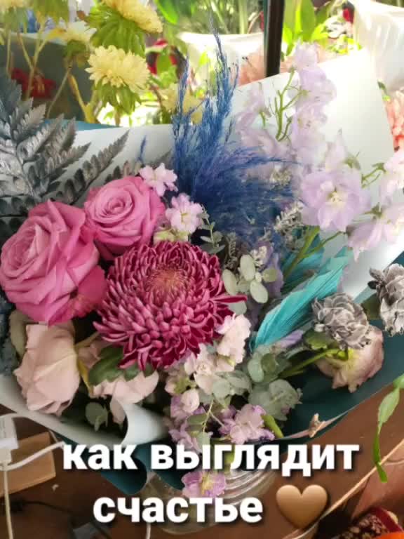 @user83845227016