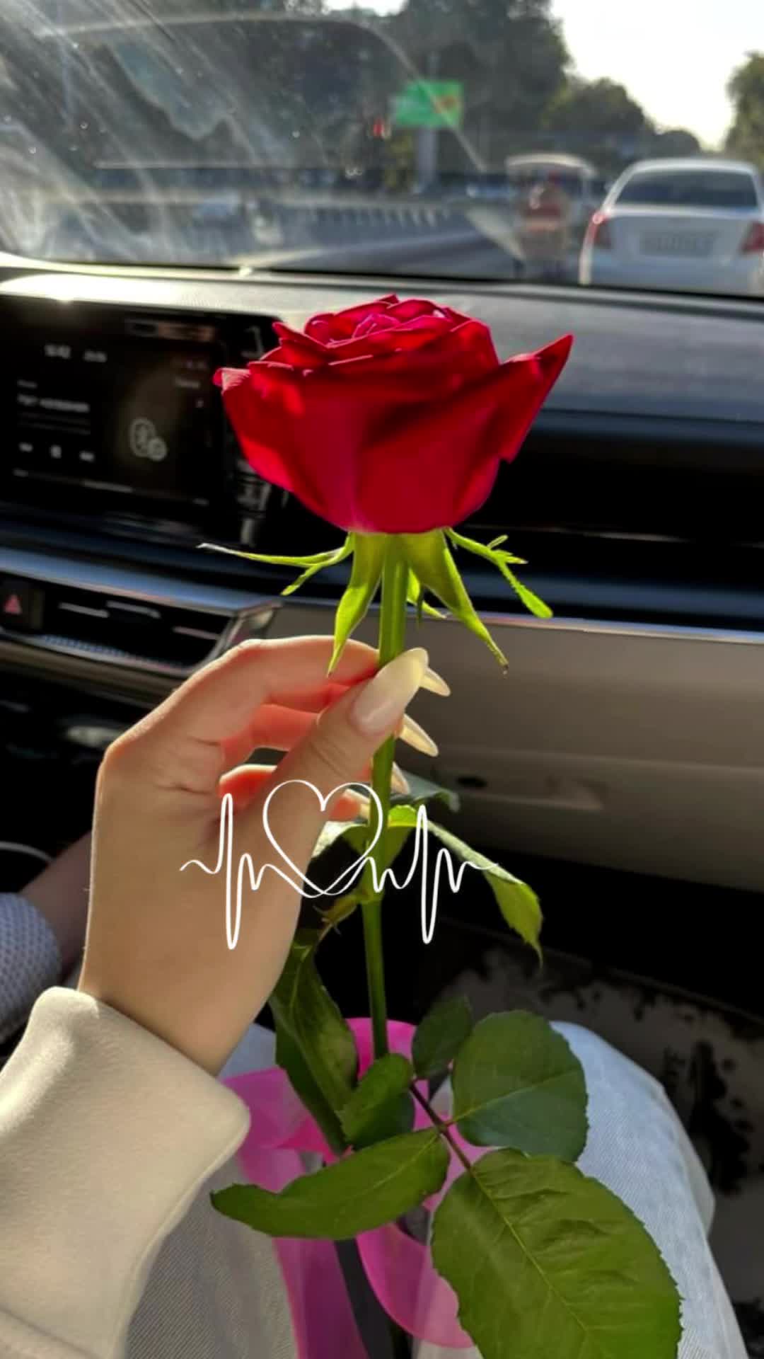 @Leo โ๏ธ โ๐ป๐650