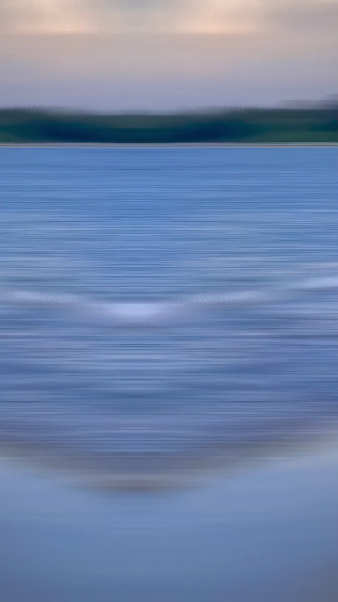 @^ TαRαα Huвву 🤍🪐 ^