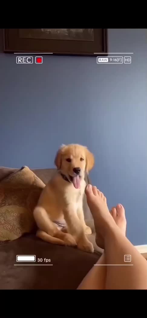 @fyygg12