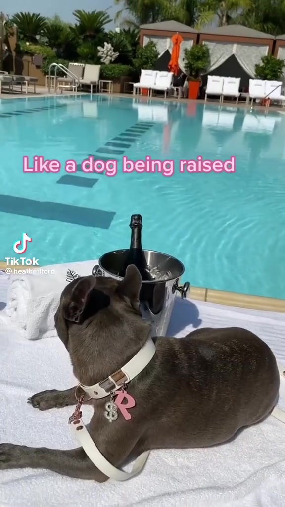 @brklz