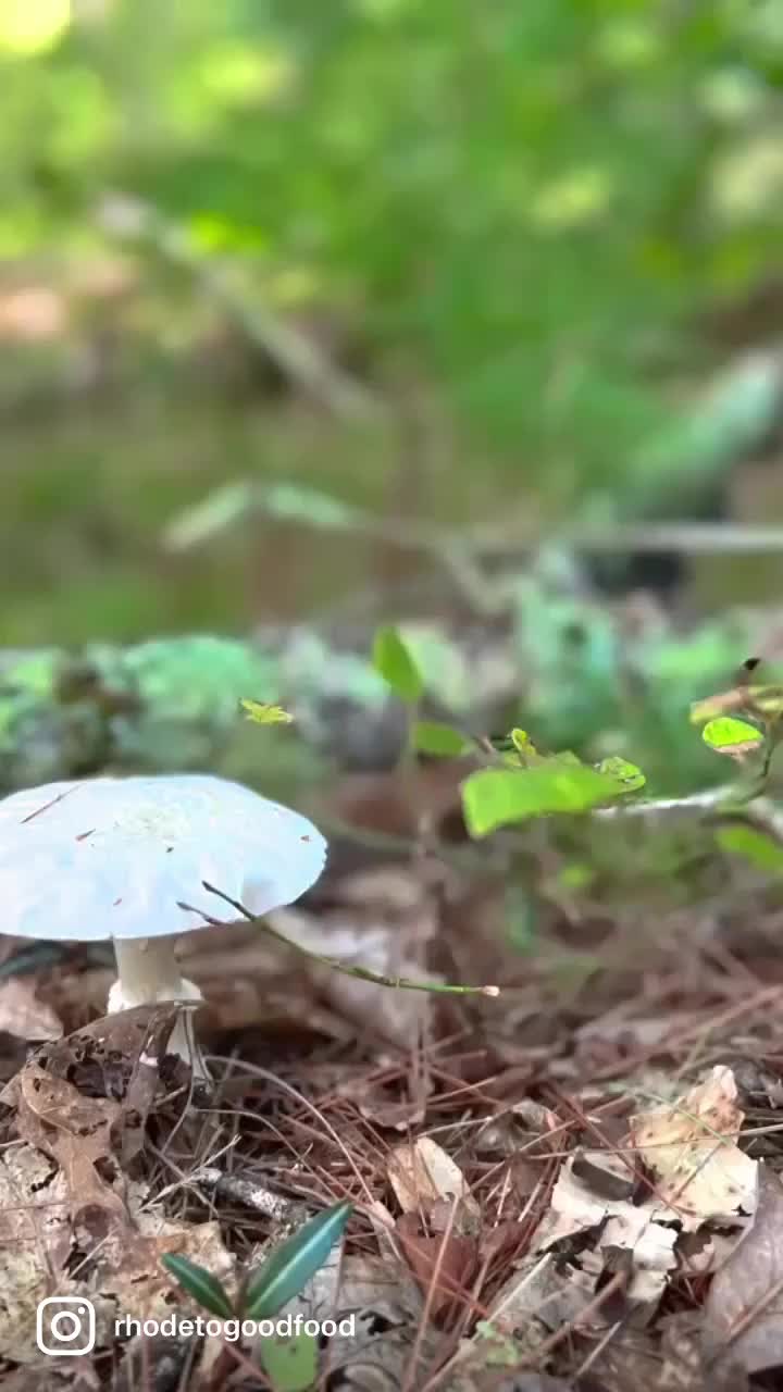 @user8232057208758