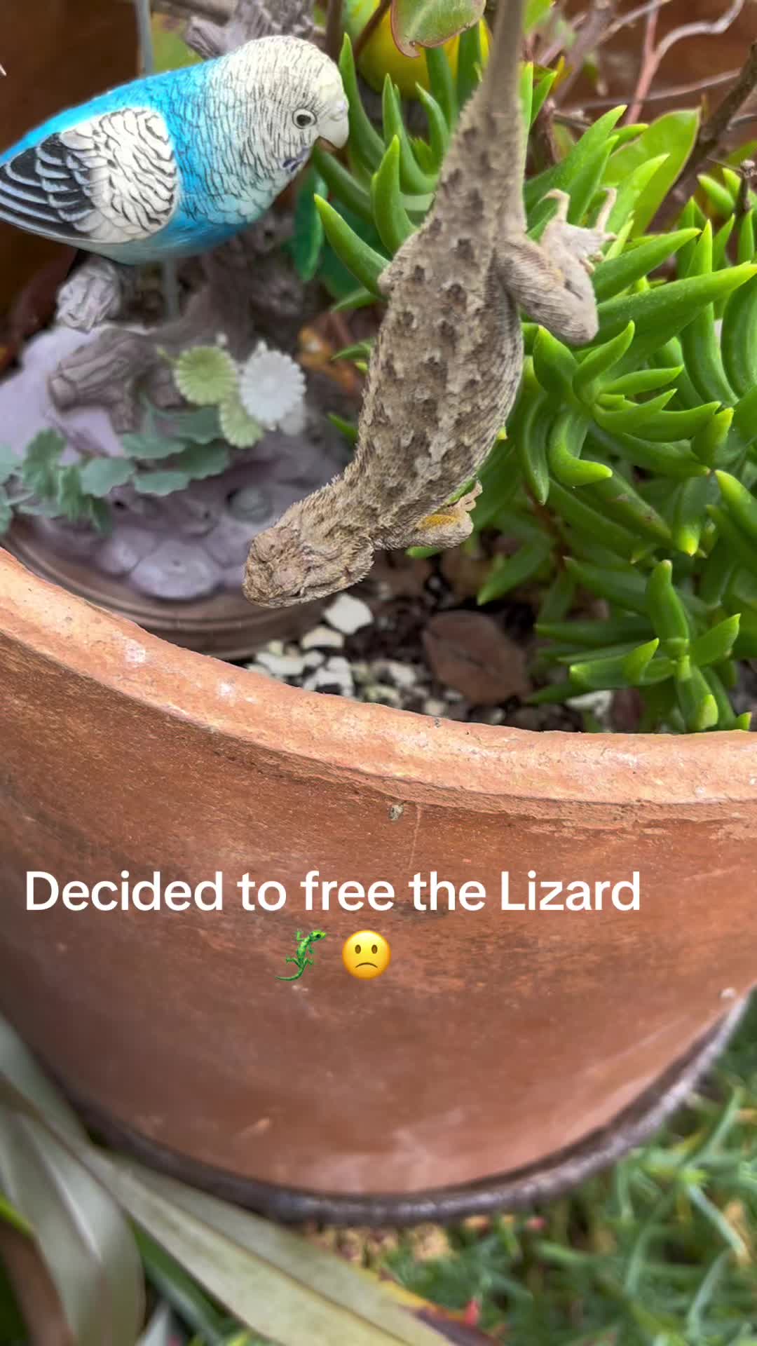 @Purified Turtle 🐢