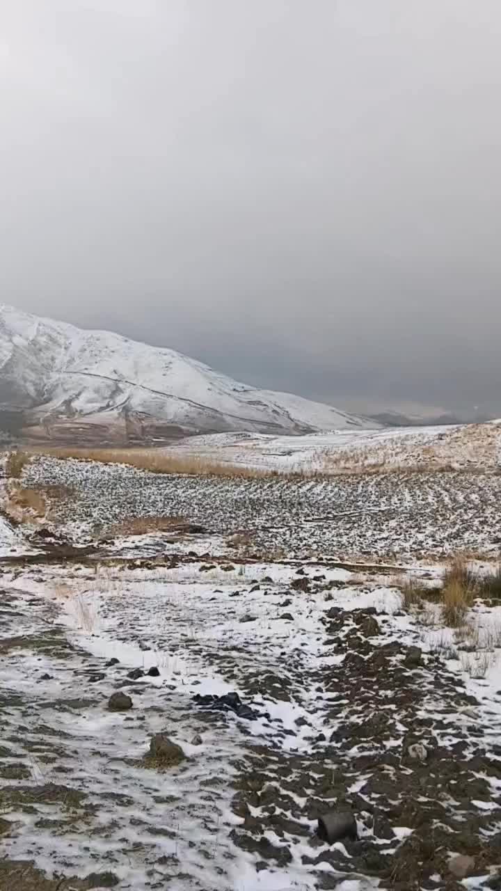 @يه حيا عوسمان