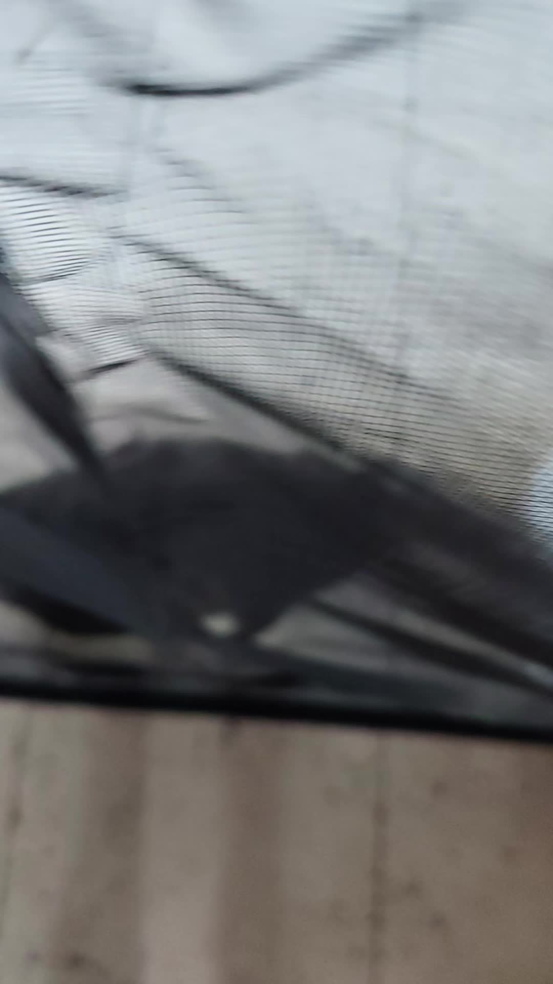@Sra.Gato