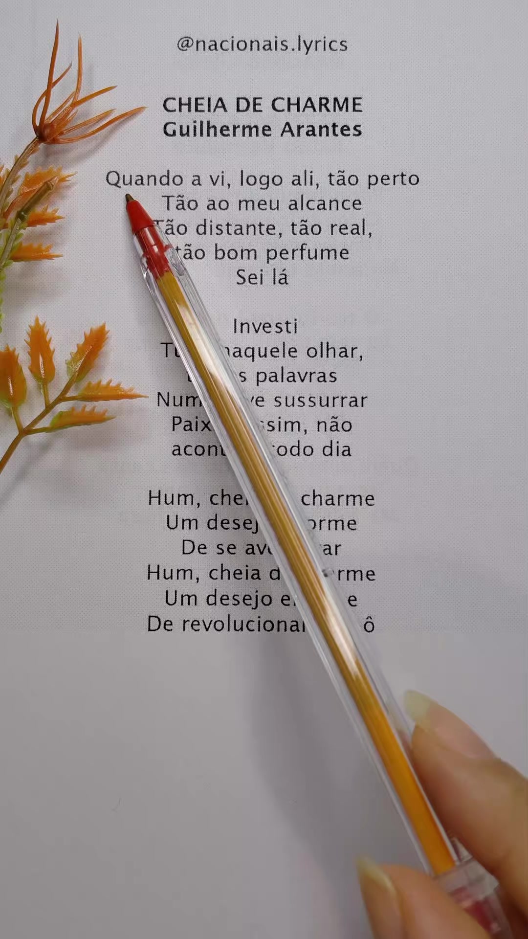 @nacionais lyrics