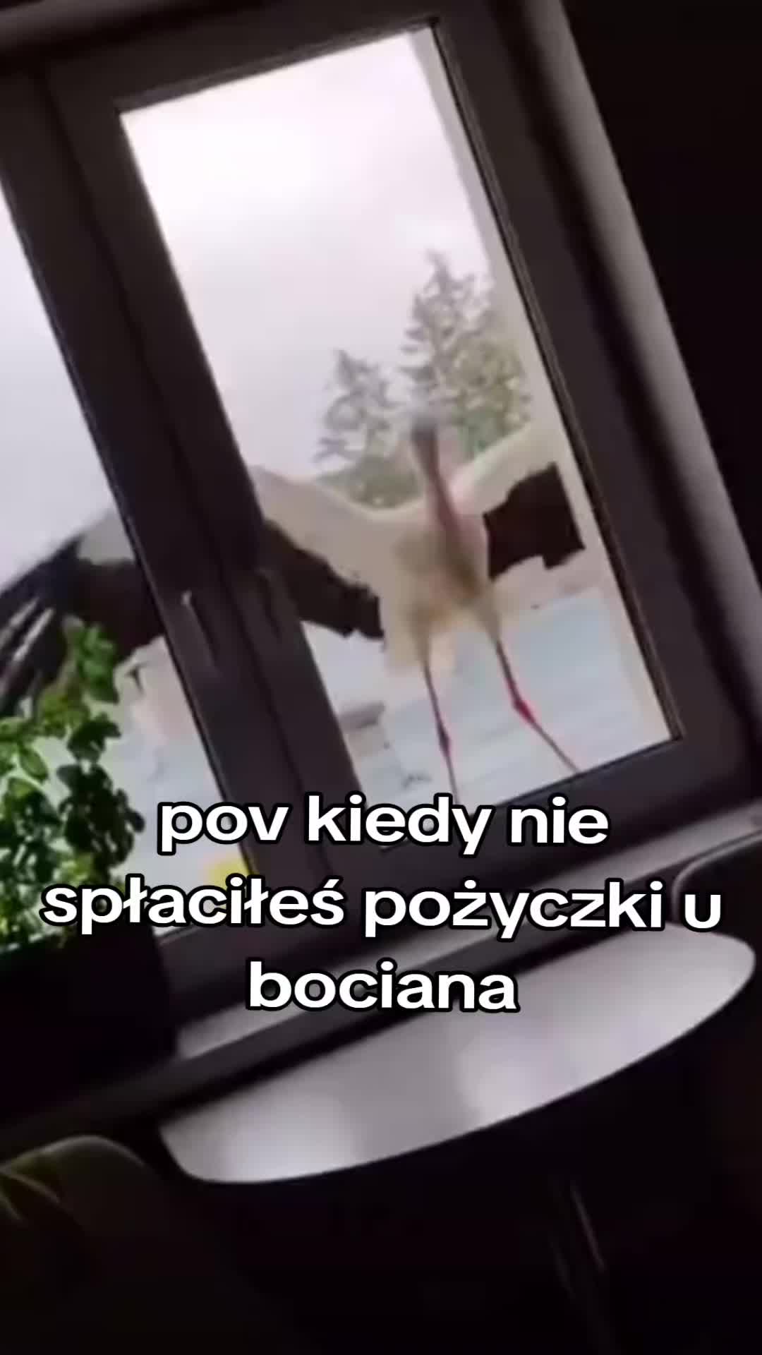 @💸𝓨𝓸𝓾𝓷𝓰𝓐𝓷𝓸𝓷𝓦𝓪𝓿𝓮🔥