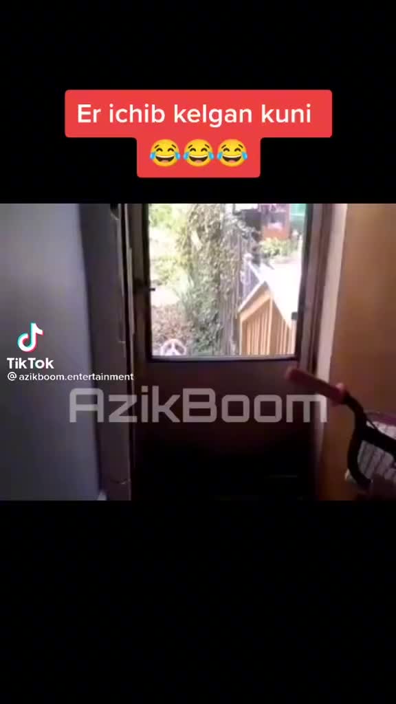 @shekha988