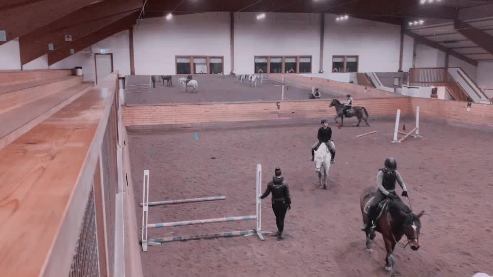 @Horses♡