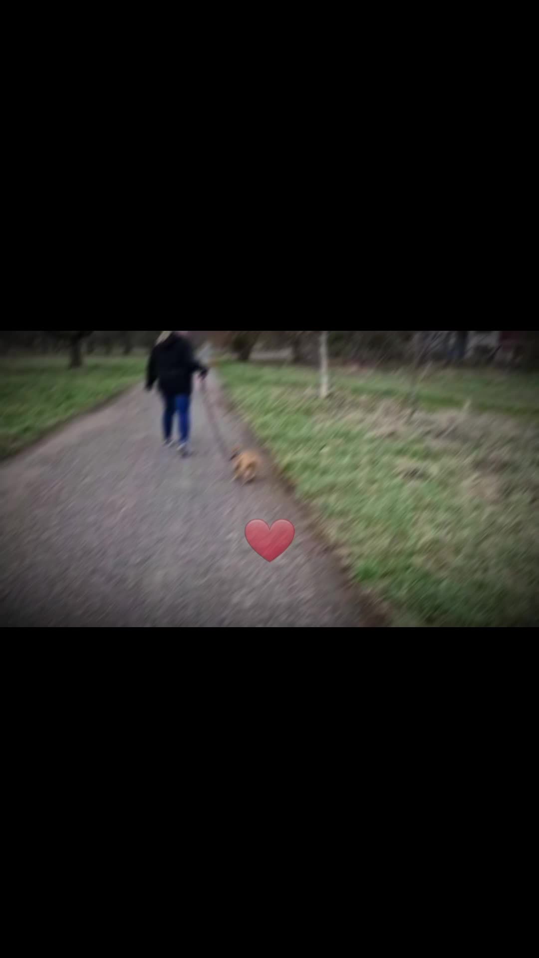 @Lauriiiiii__