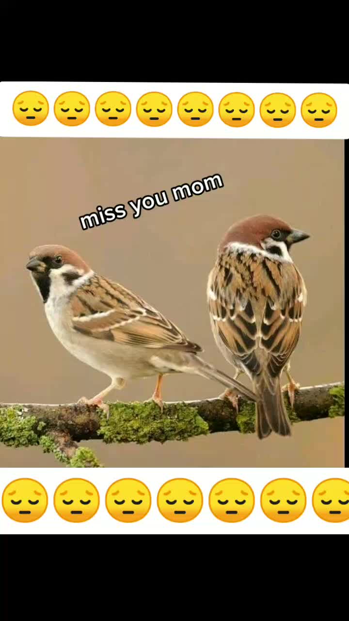 @moto ๐๐๐