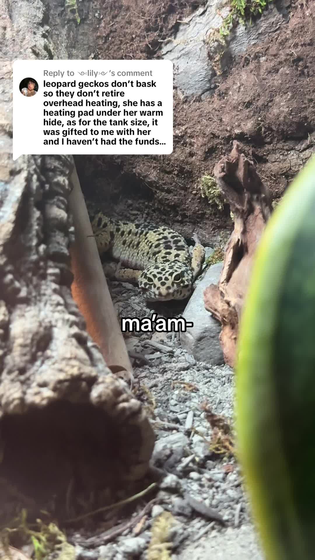 @faith𓆈🌱