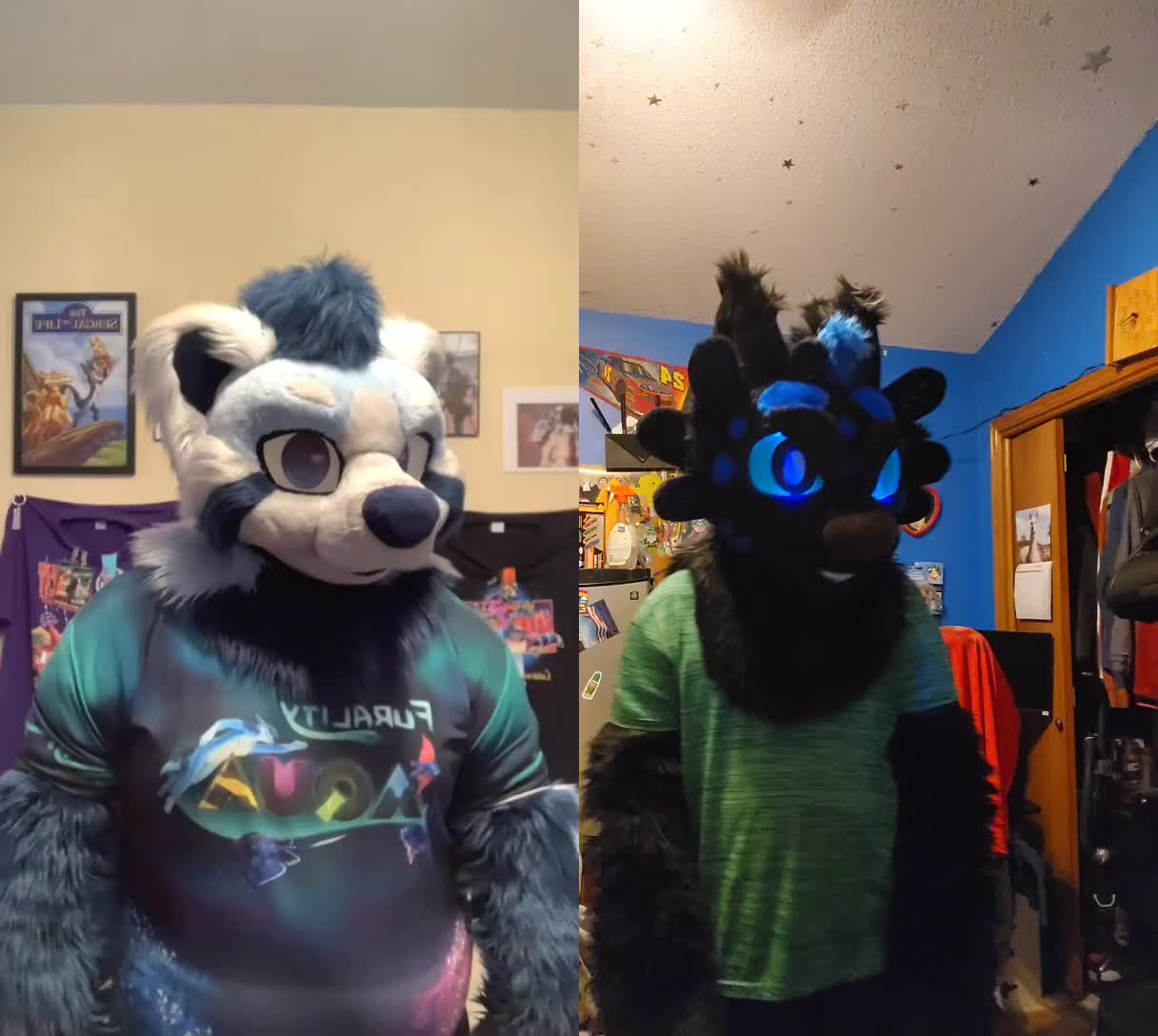 @DashTheNightFuryTaidum