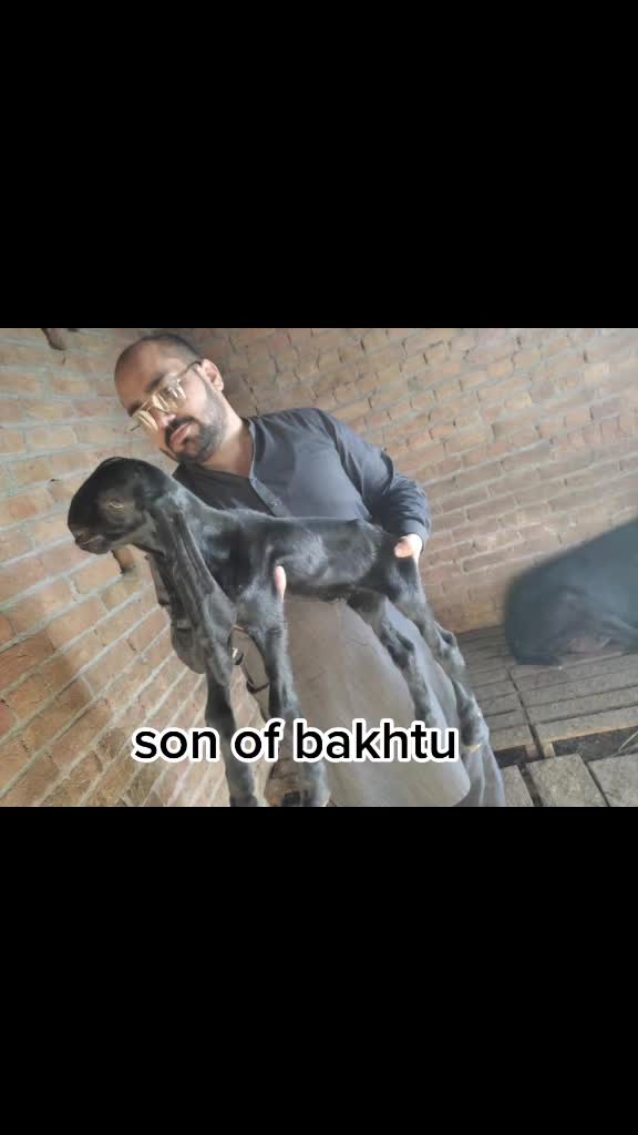 @abubakar Rajpoot