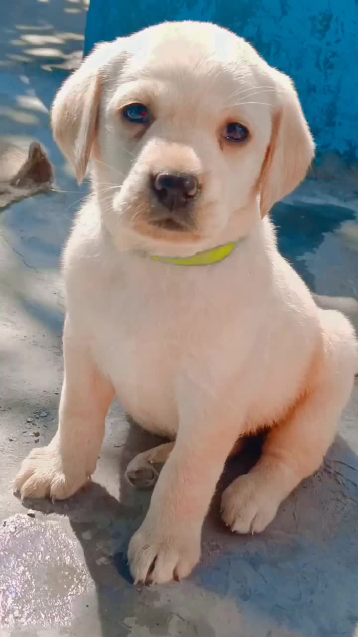 @𝓟𝓻𝓲𝔂𝓪 𝓚𝓪𝓻𝓽𝓱𝓲𝓴 ❤️