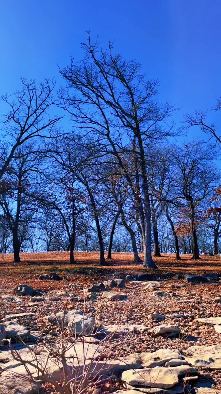 @NatureOK