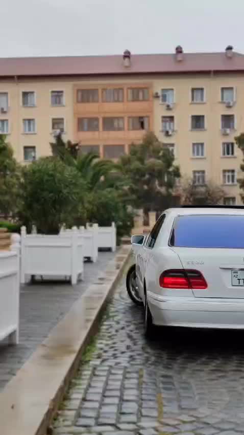 @99-TT-636