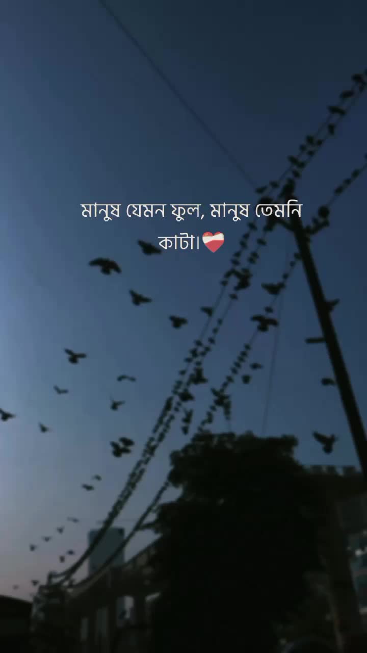 @𝙨𝙝𝙖𝙤𝙪𝙣:)♡︎