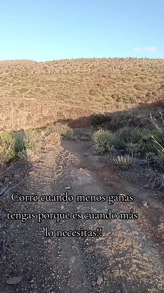 @ManuelRosadoTV