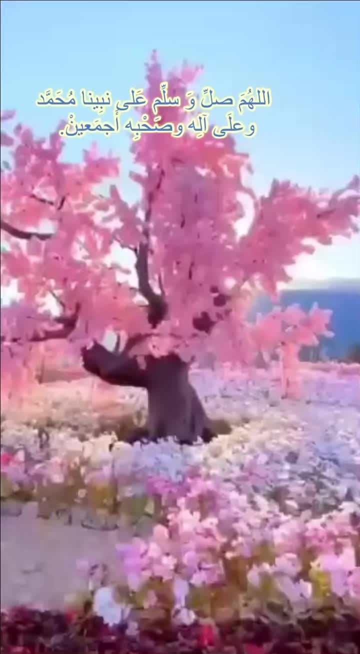 @ranaalnajjar40