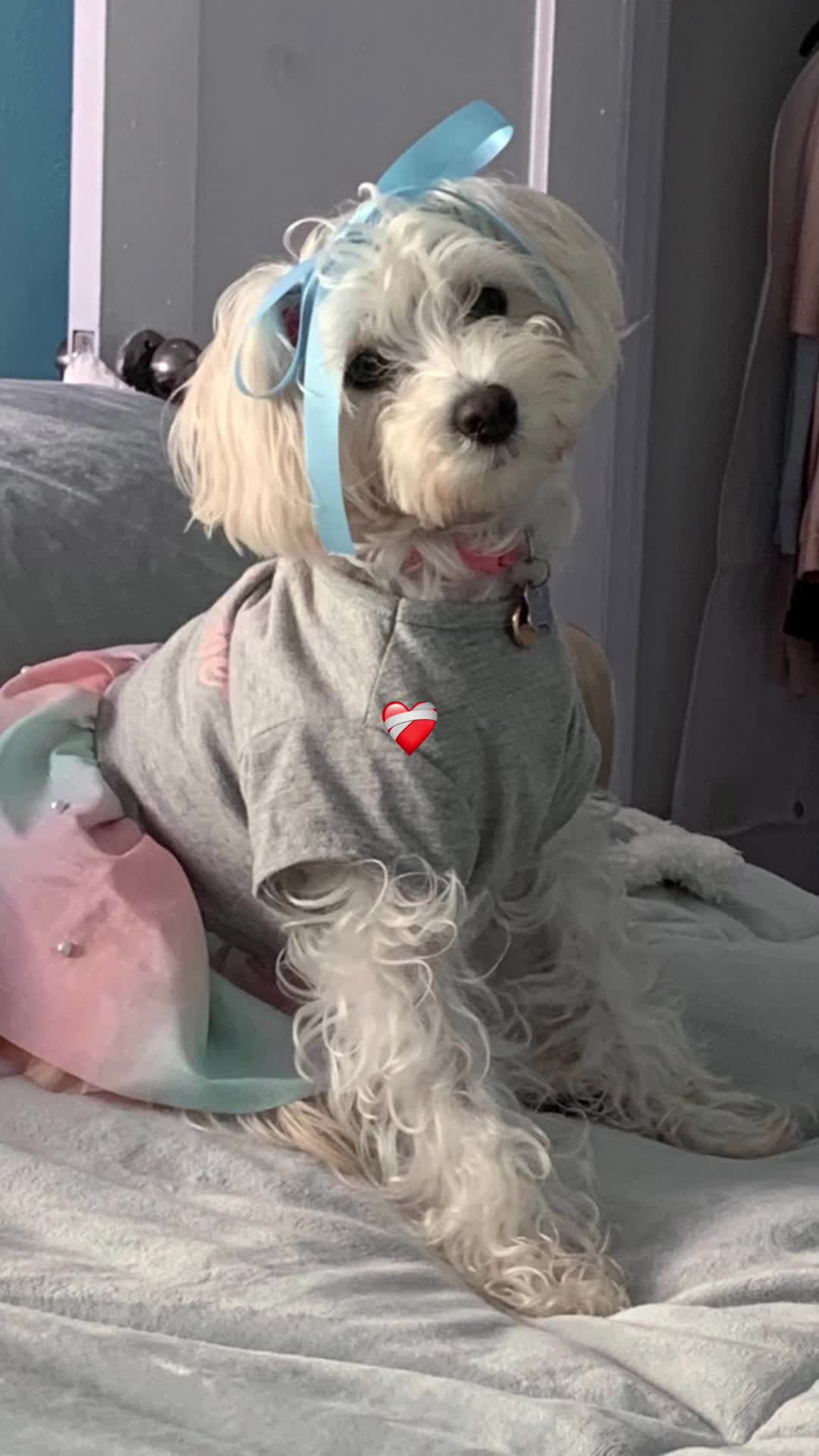 @Coco_puppysf