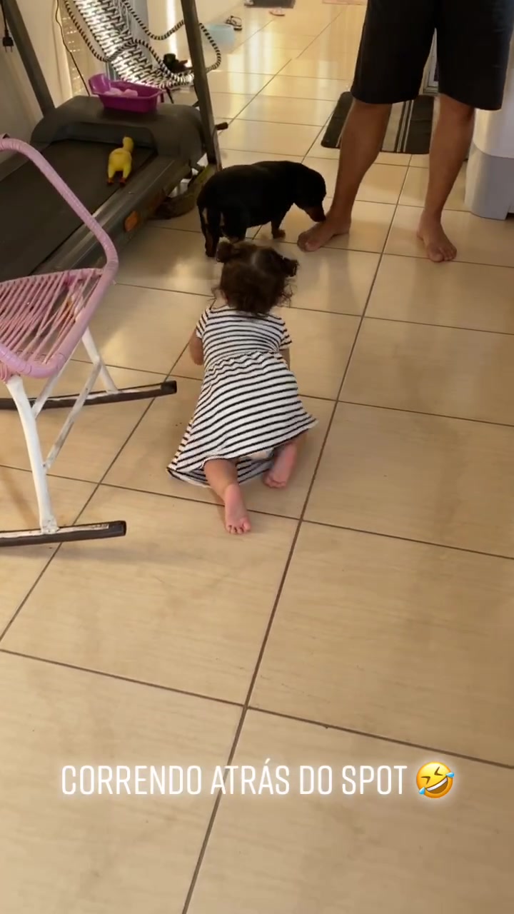 @Alícia Damasceno