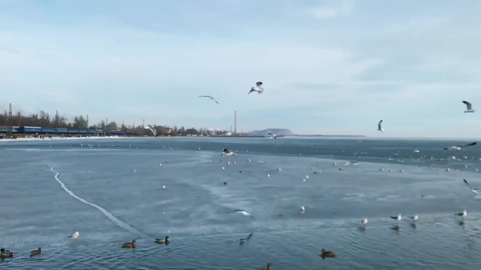@САЛАМ ПОПОЛАМ