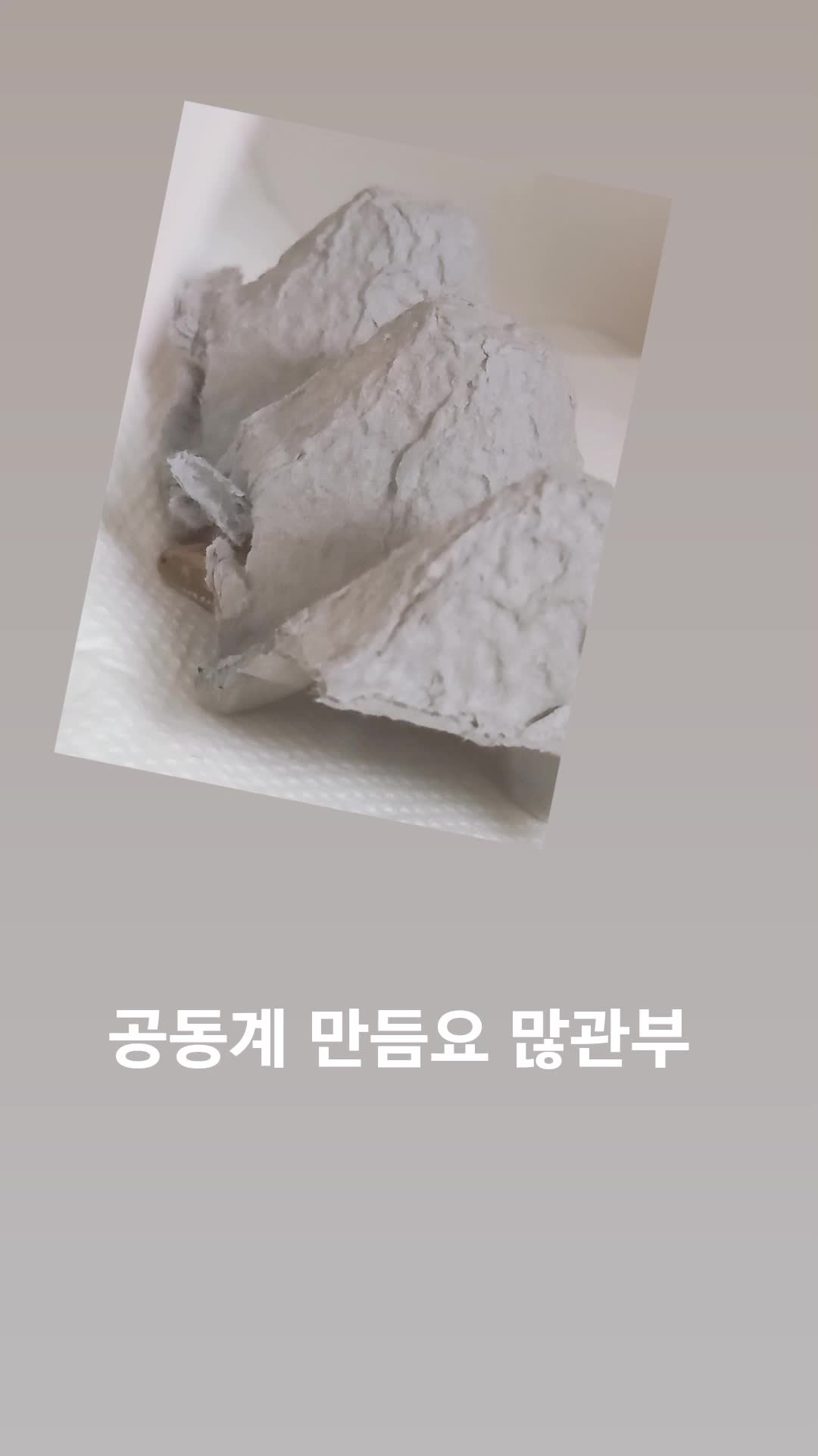 @호랑이서🐯