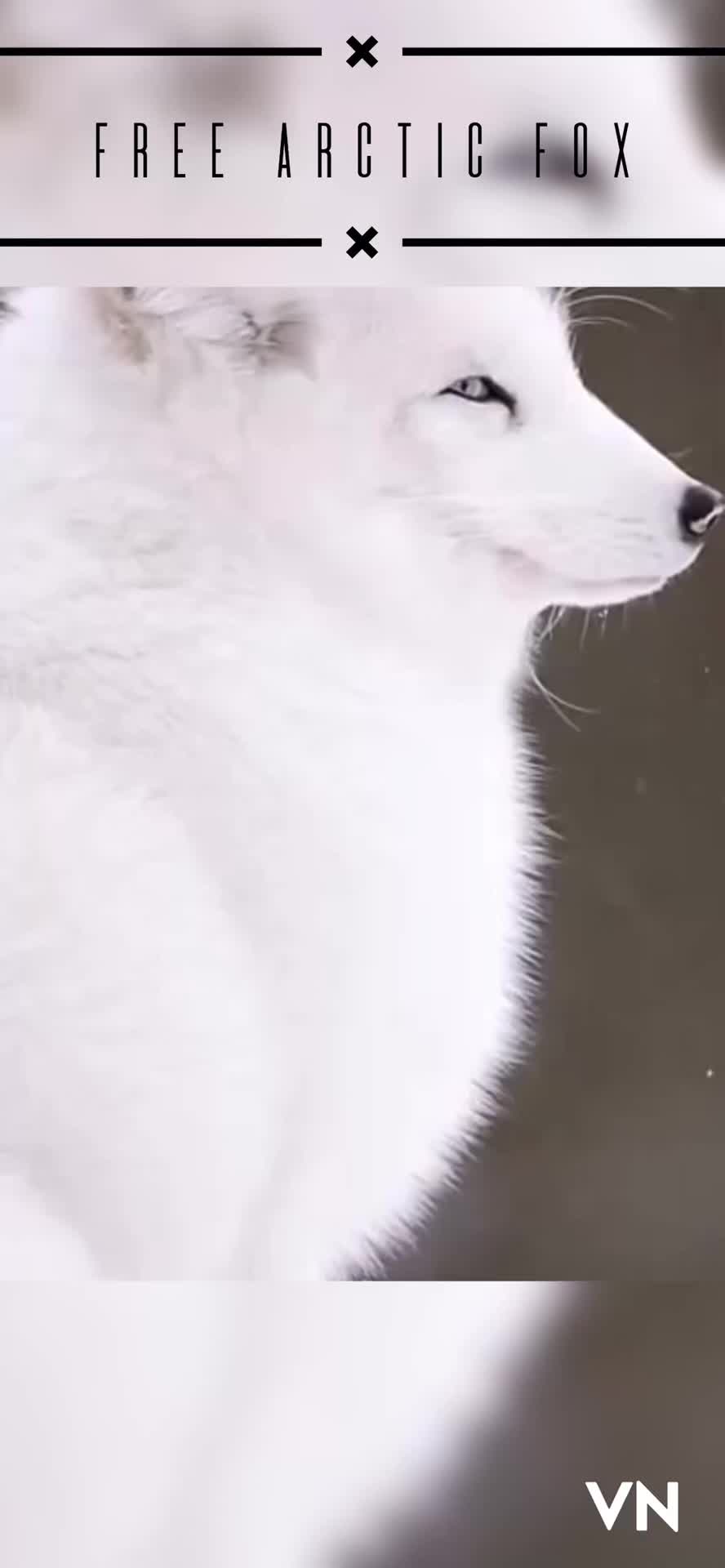 @๐ต๐๐๐ ๐ ๐๐๐ ๐๐๐๐๐๐