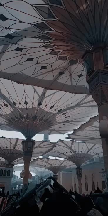 @أميرة
