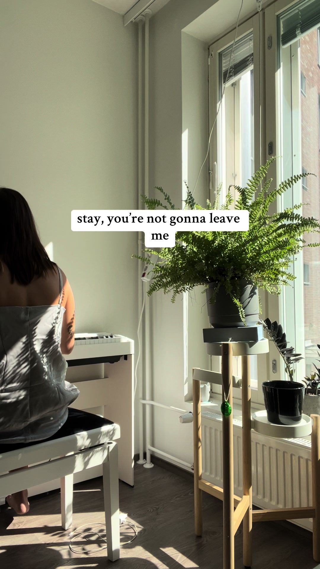 @aurora