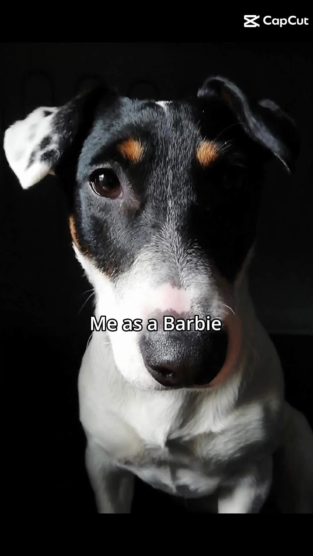 @jackbulli