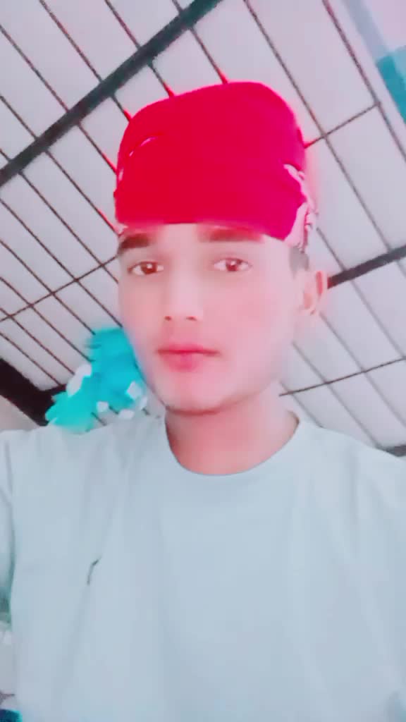 @Deva Tiger 🐯🐅