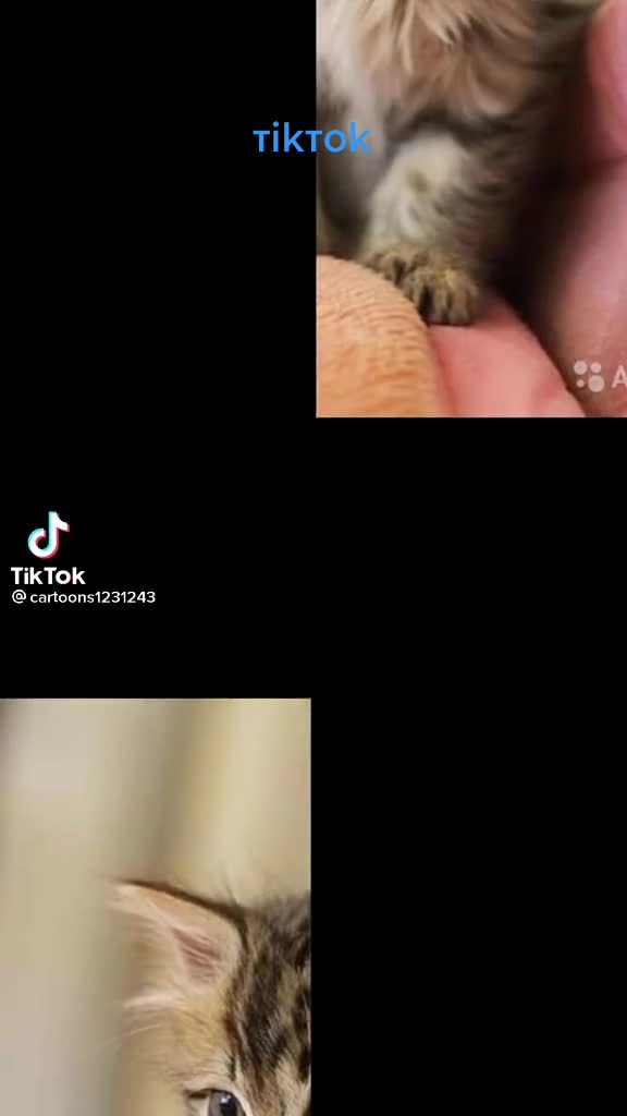 @саян забивной👺☠️🇷🇺
