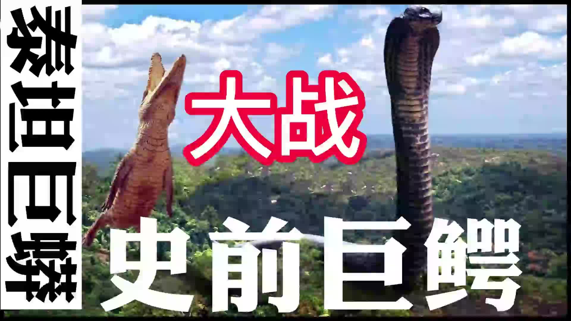 @西郭先生