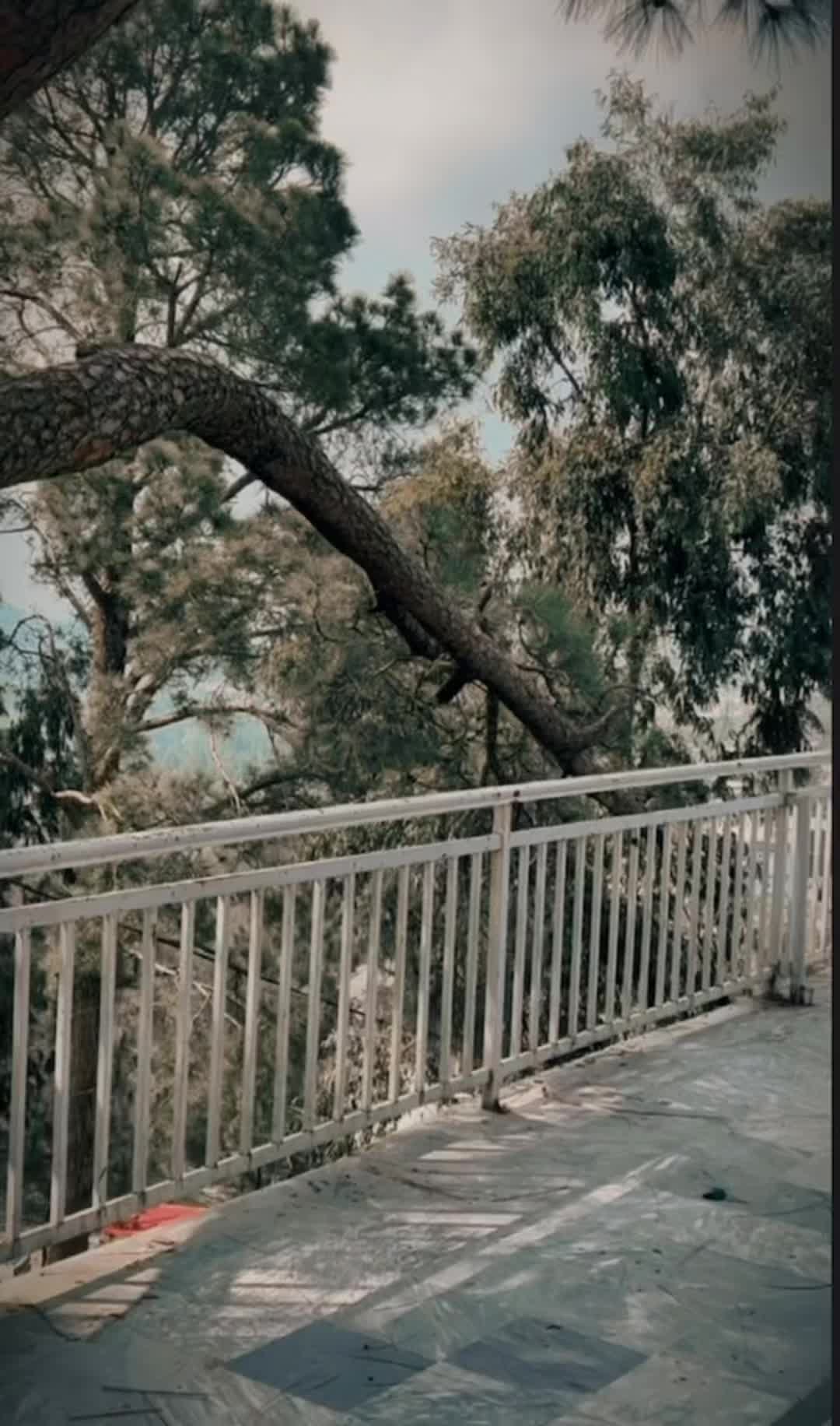 @AyesHasnain❤️