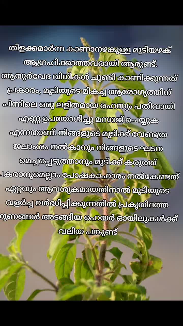 @☘️🍀BRAHMAHERBALS🌿🌿 HAIR OIL