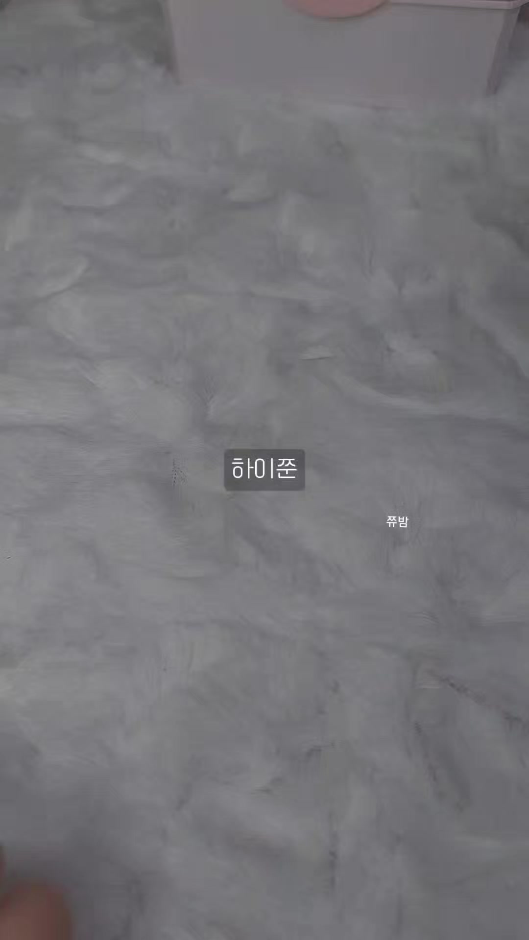 @꒰ঌੈ✩쮸밤ੈ☆໒꒱