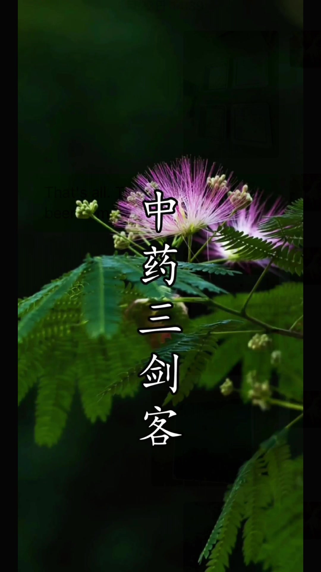 @laotang中医世家