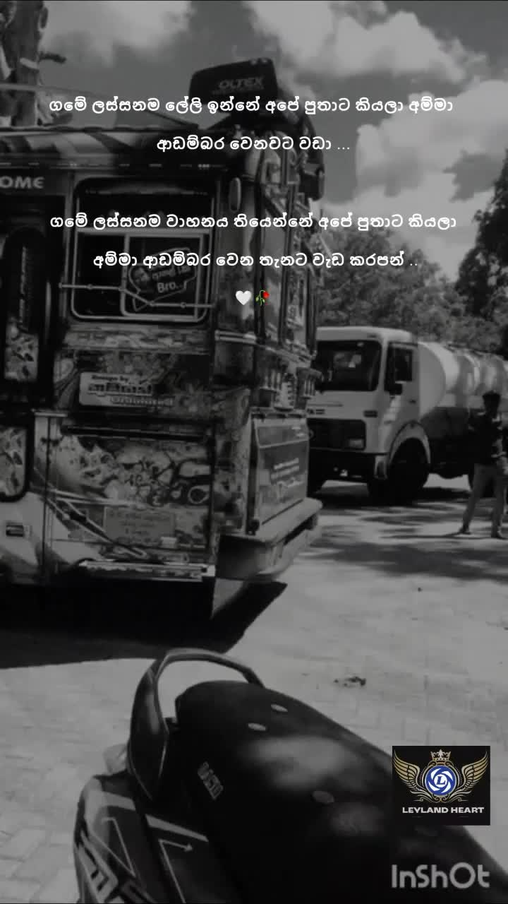 @𝗟𝗘𝗬𝗟𝗔𝗡𝗗 𝗛𝗘𝗔𝗥𝗧