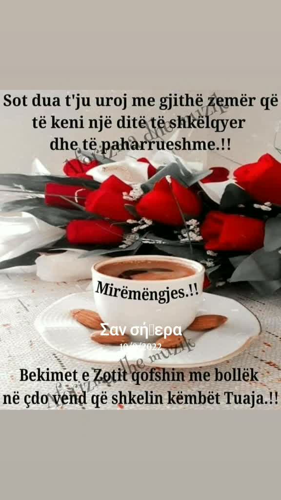 @MONI 65