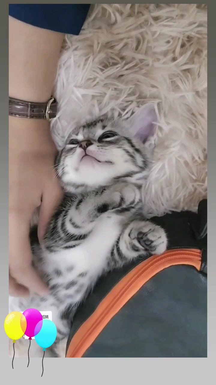 @Pandafly24