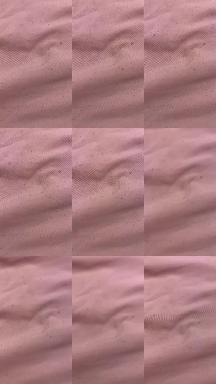 @muser_2016
